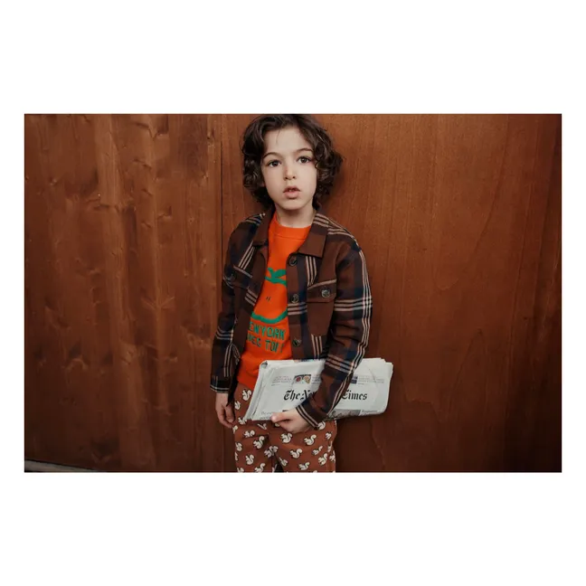 Chemise Carreaux Flanelle | Marron