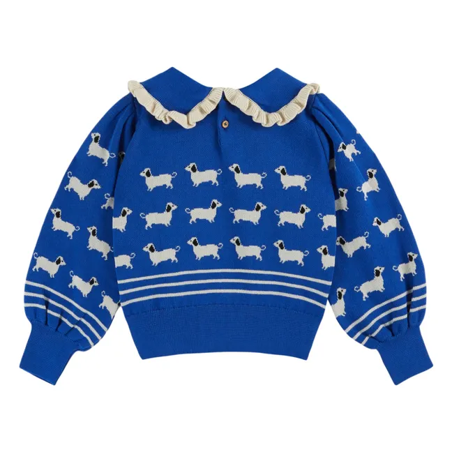Pull Chiens | Bleu roi
