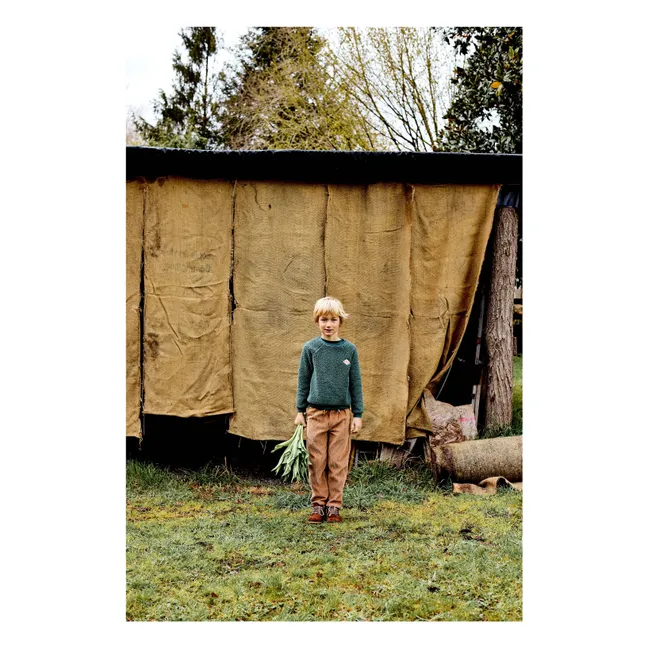 Sweat Gilbert | Vert