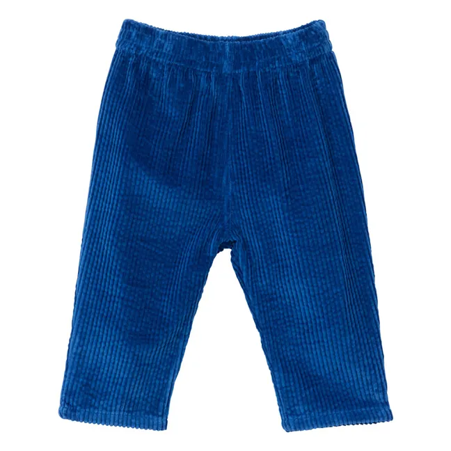 Pantalon Gawen Coton Bio | Bleu électrique