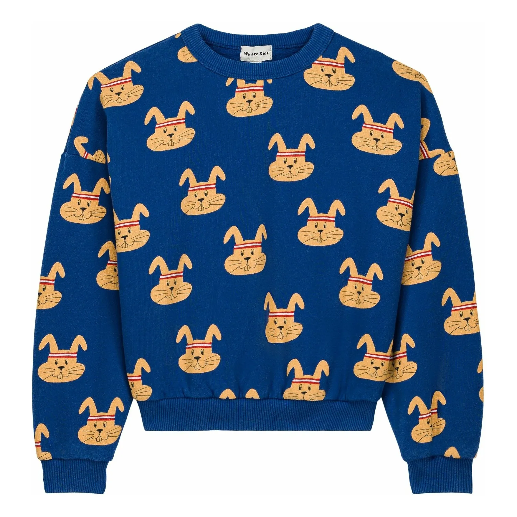 We Are Kids Blue Tony Lapins Organic Cotton Sweatshirt