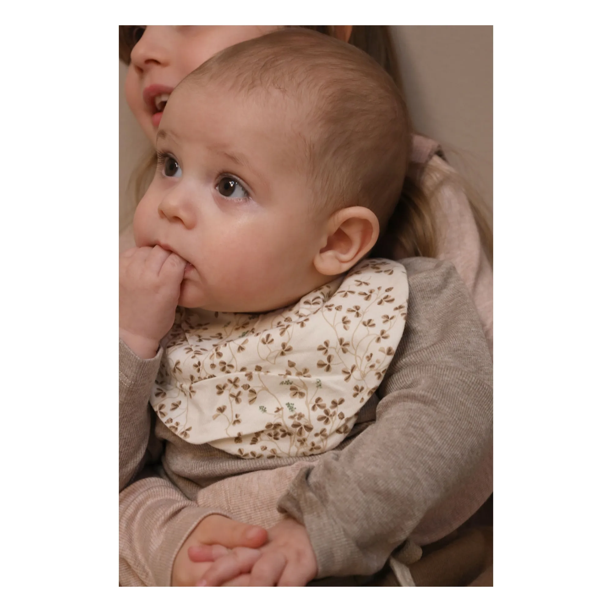 Bandana Bibs Ivy - Set of 2 | Brown- Product image n°1