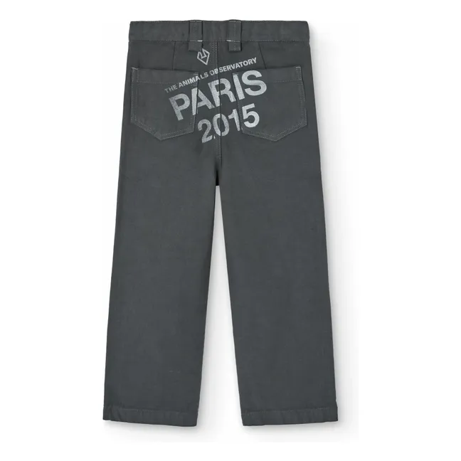 Pantalon Condor | Gris anthracite