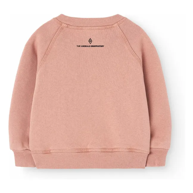 Jackal Sweat Flowers | Pale Pink
