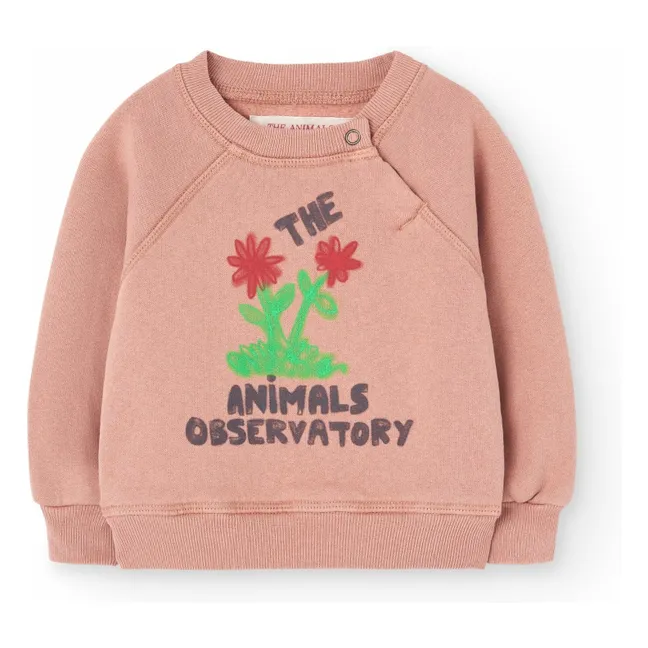 Jackal Sweat Flowers | Pale Pink