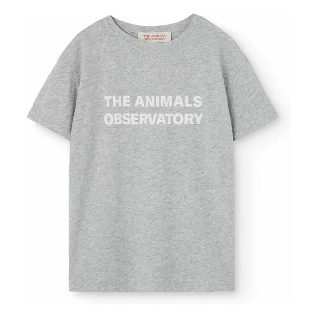 T-shirt Orion | Gris chiné