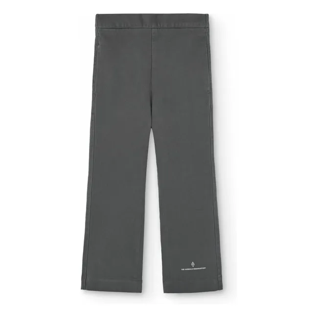 Pantalon Porcupine | Gris anthracite