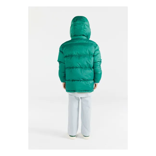 Lemur Daunenjacke aus recycelten Fasern | Grün