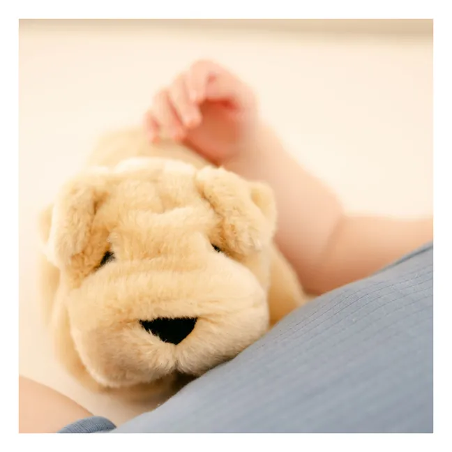 Hector 20 cm plush dog | Honey