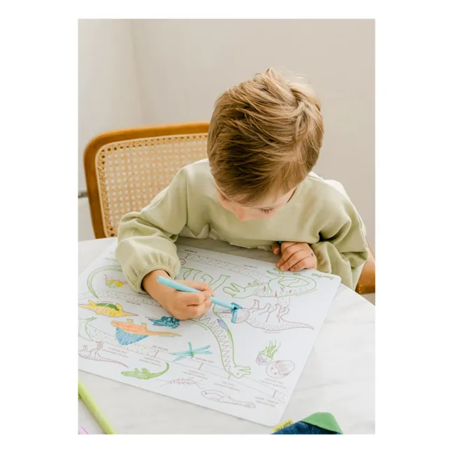 Coloriage éducatif L'âge des Dinosaures avec 3 feutres