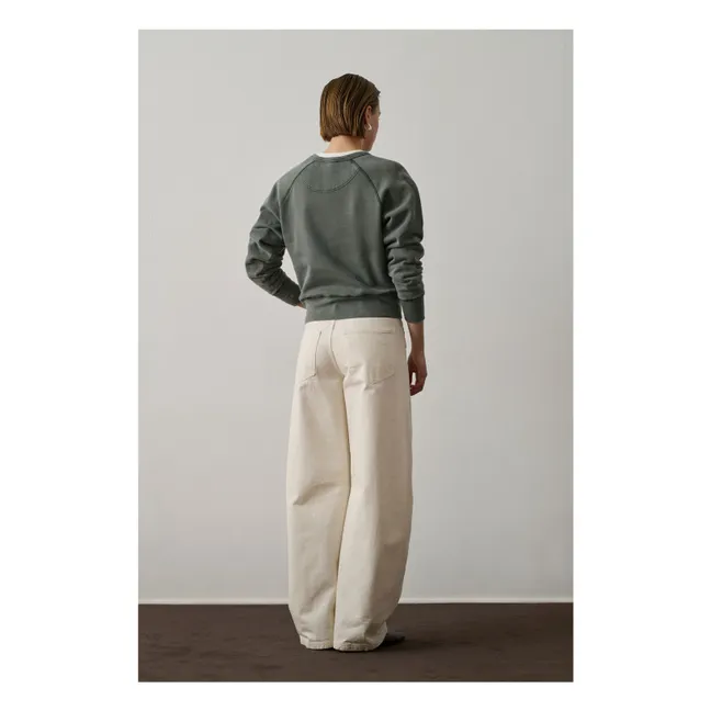 Sweat Apollo | Gris vert