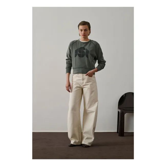 Sweat Apollo | Gris vert