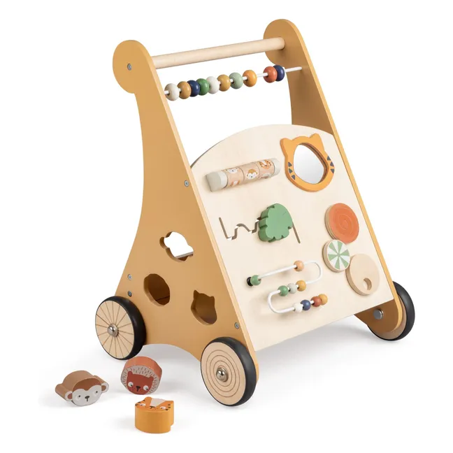 Walking and activity cart