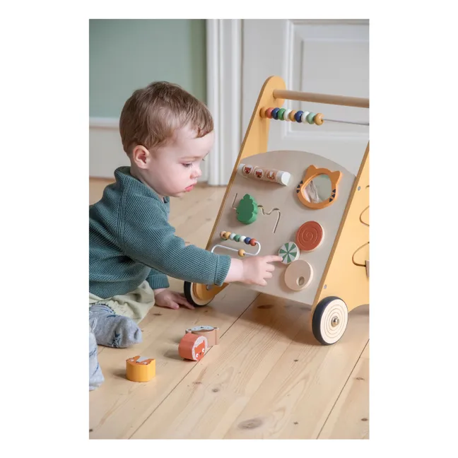 Carro de paseo y actividades