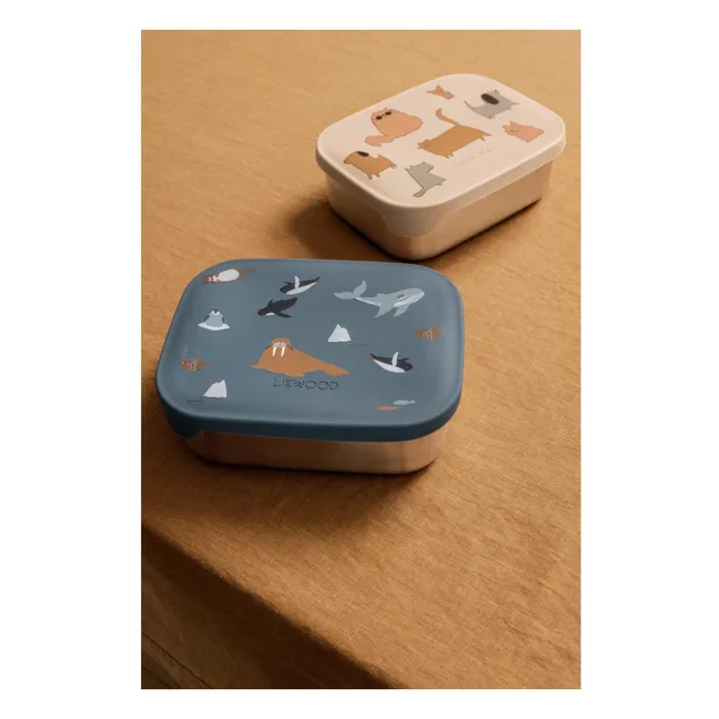 Lunch-box Arthur  | Arctic Sea/Ocean view