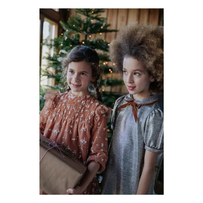 Brumhilda dress | Brown