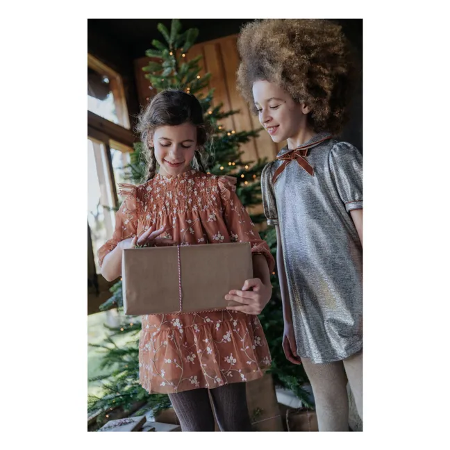 Brumhilda dress | Brown