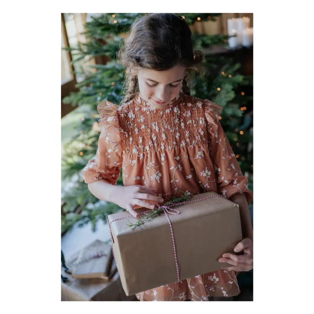 Brumhilda dress | Brown