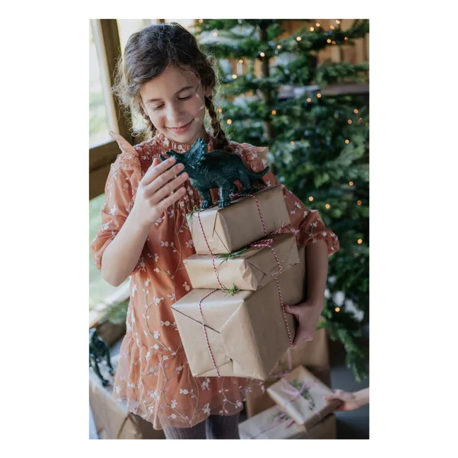 Brumhilda dress | Brown