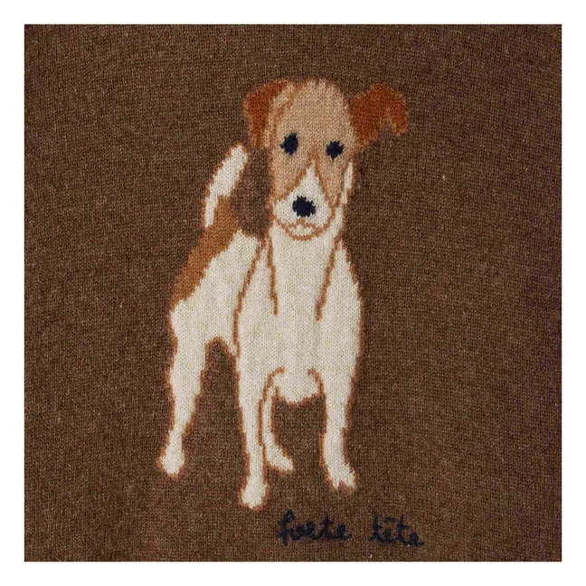 Berlioz Kaschmir-Pullover | Braun