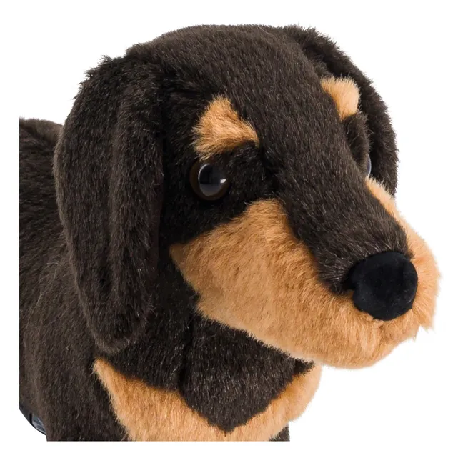Eugène Teckel peluche 25 cm | Negro