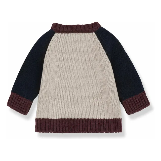 Jersey Patrick de lana merina | Beige