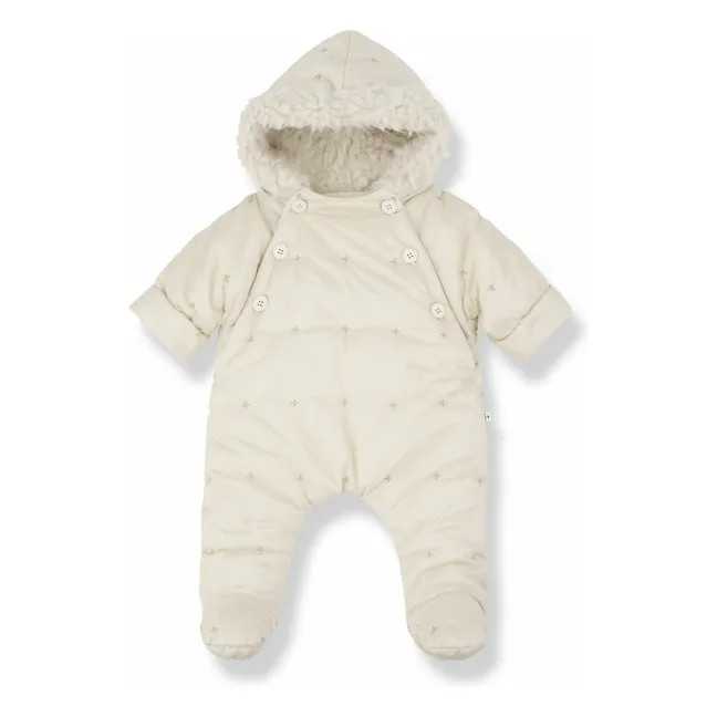 Piloto Cohen | Crudo