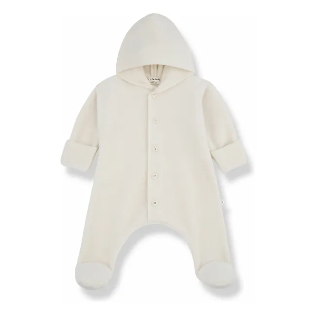 Piloto polar Beate | Crudo