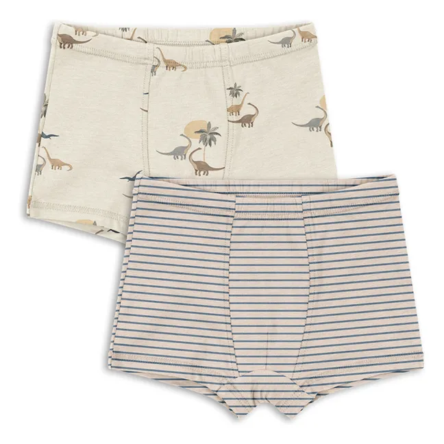 Lot 2 Boxers Dinosaures Coton Bio | Beige