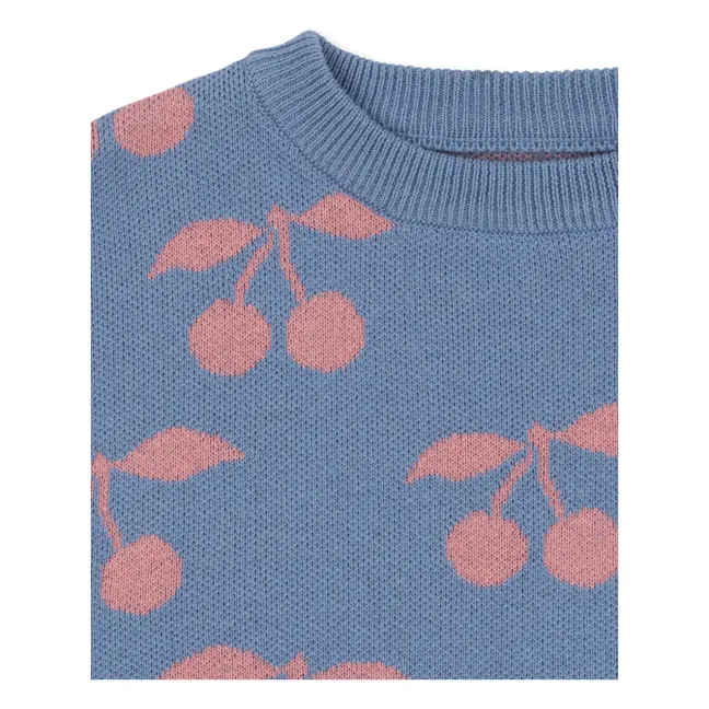 Pull Lapis Cerises Coton Bio | Violet
