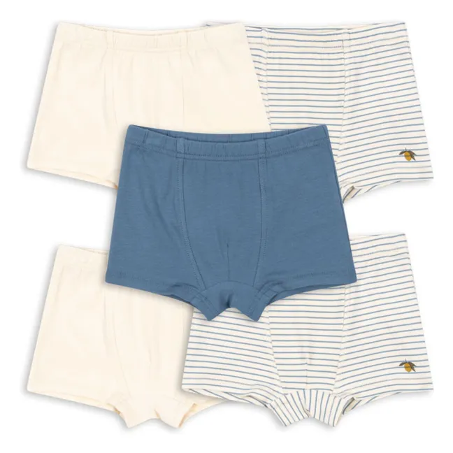 Lot 5 Boxers Citron Coton Bio | Beige