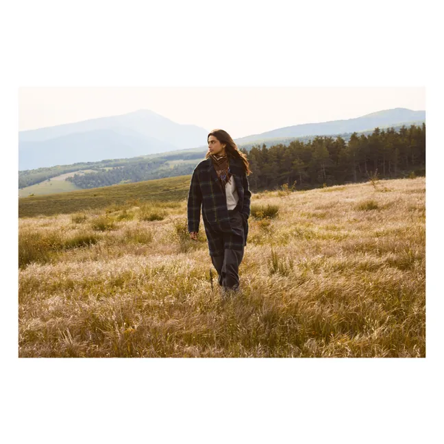 Pantalon Piedro Rayé Laine | Gris