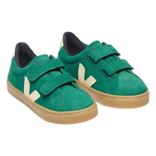 Baskets Scratchs Esplar Suede | Vert