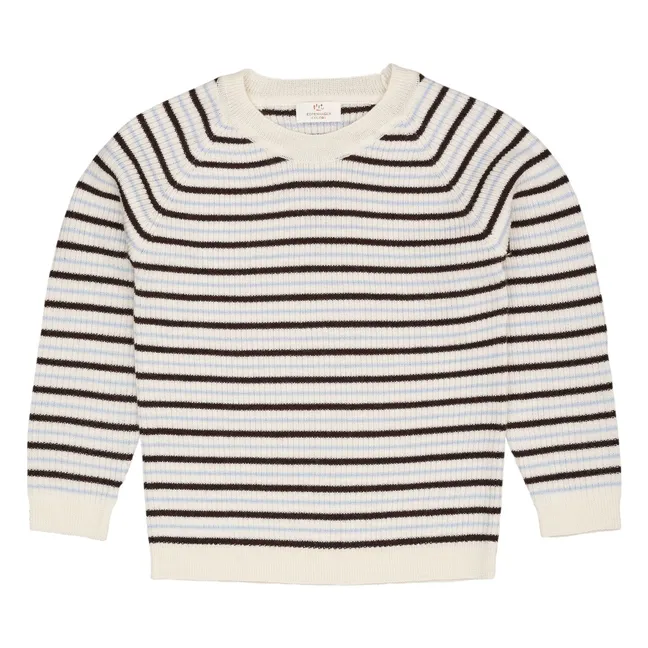 Jersey de canalé Lana Merino Rayas | Marrón