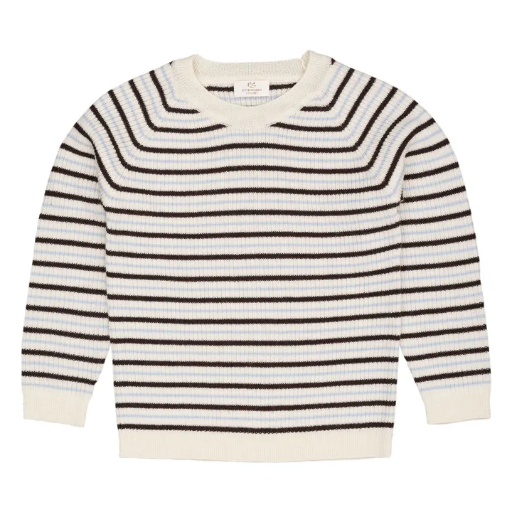 Pull Côtelé Rayures Laine Mérinos | Marron- Image produit n°0