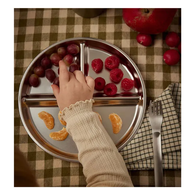 Assiette à compartiment en acier | Steel