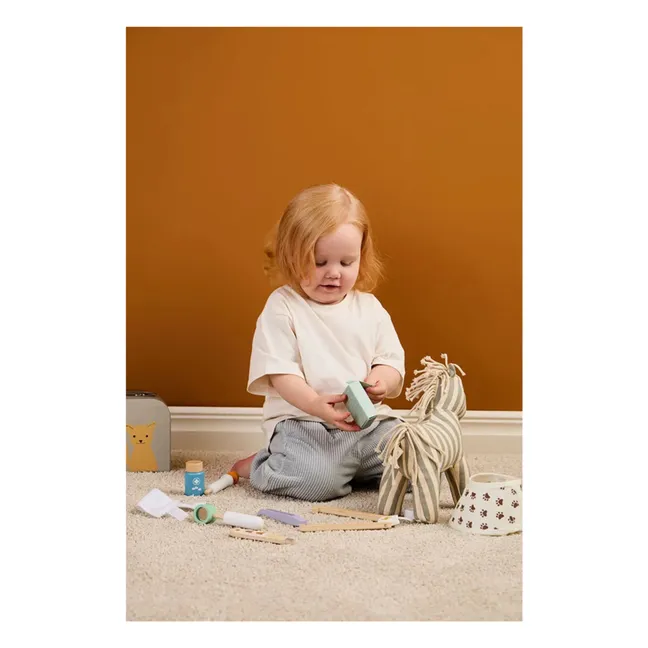 Maletín y accesorios veterinarios