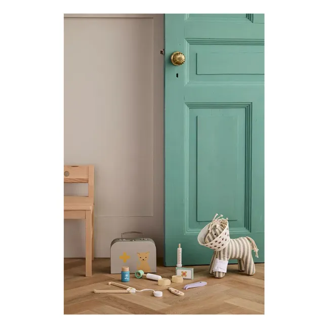 Veterinary case and accessories