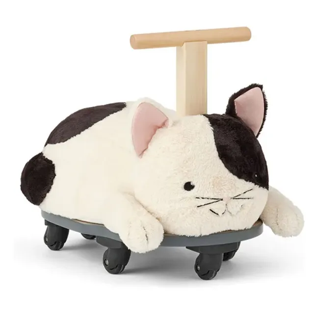 Träger Aiden die Katze