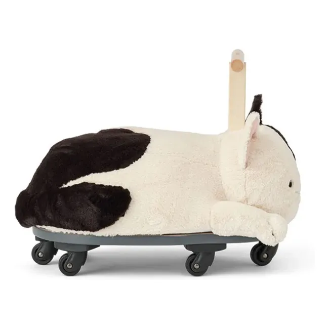 Carrier Aiden the Cat