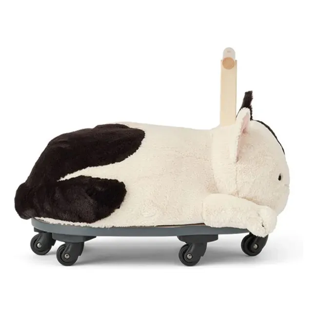 Träger Aiden die Katze