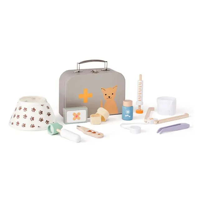 Veterinary case and accessories