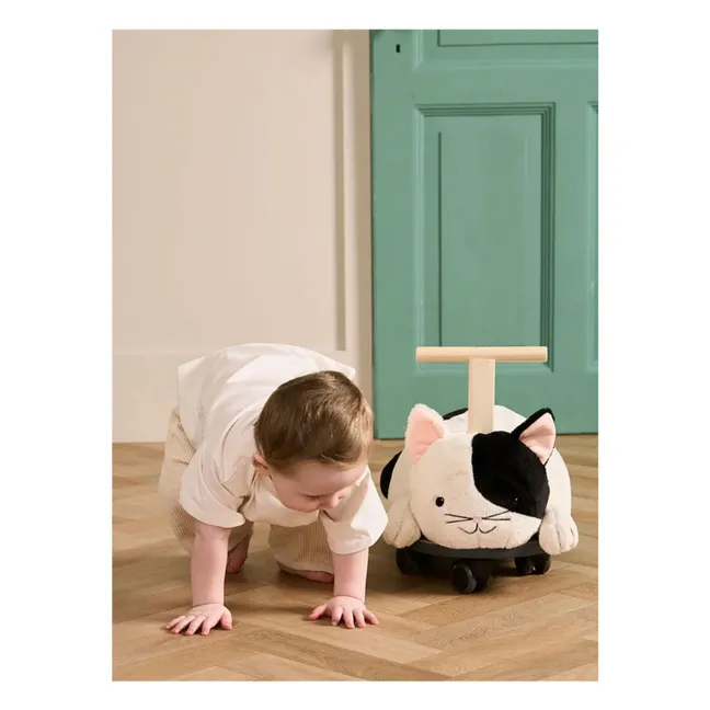Träger Aiden die Katze