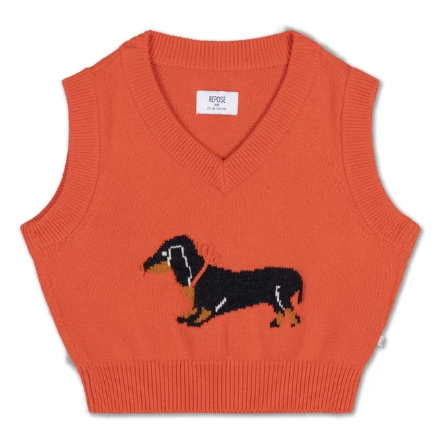 Pull Sans Manches Chien | Orange
