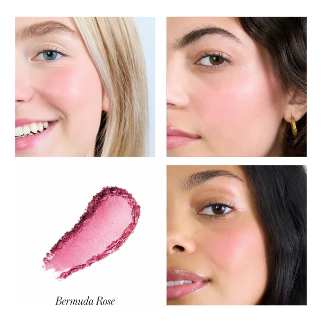 Blush ReDimension - 7g | Bermuda Rose