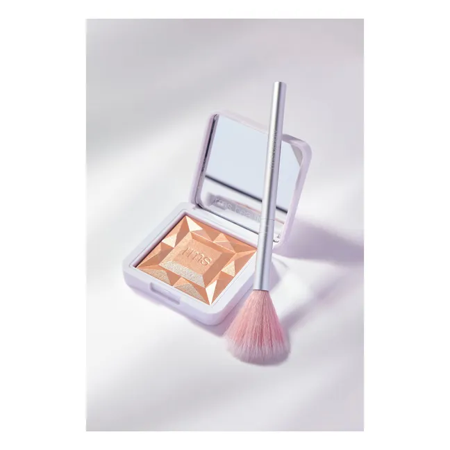 Pinceau éventail Skin2Skin | Non teinté