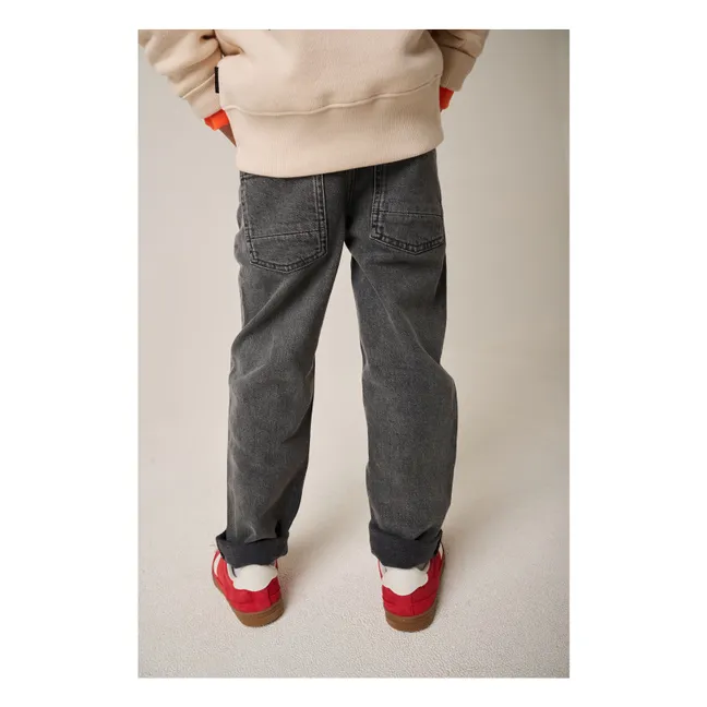 Jean Jelte Straight | Gris