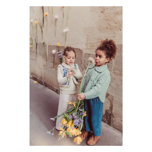 Cardigan Cape Khellana Laine | Vert amande