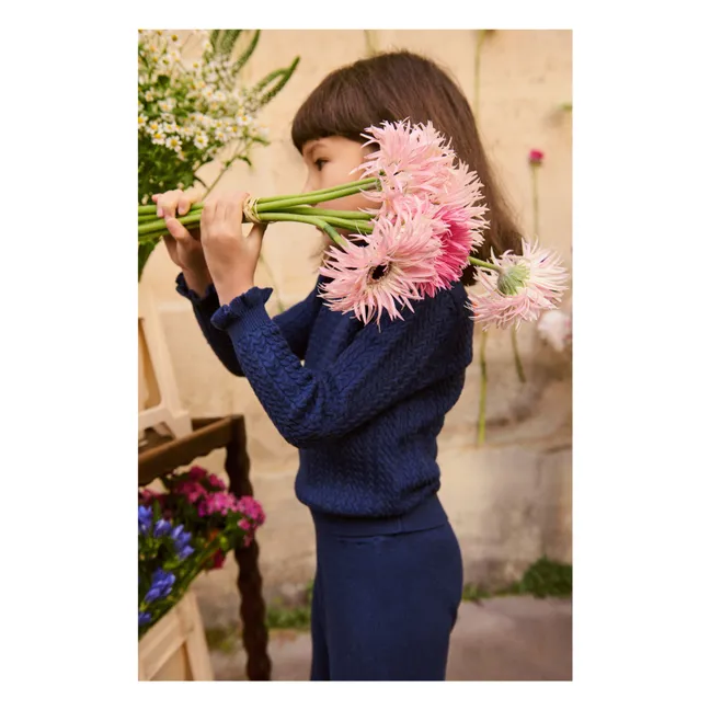 Pull Col Froncé Java Laine | Bleu marine