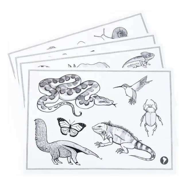 Tablette lumineuse éducative - Moulin Roty x Kidywolf | Bleu